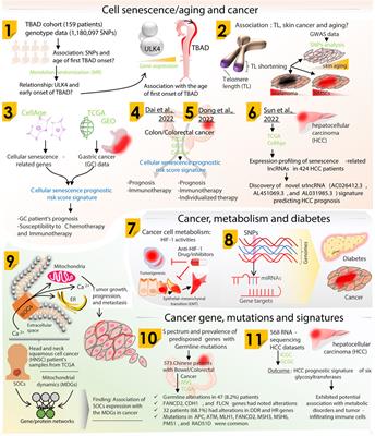 Editorial: Genomic alteration landscapes of aging, metabolic disorders, and cancer: Emerging overlaps and clinical importance